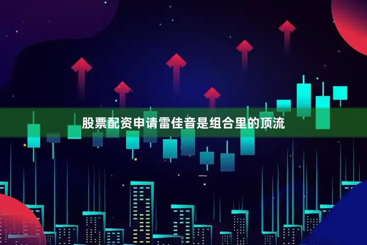 股票配资申请雷佳音是组合里的顶流