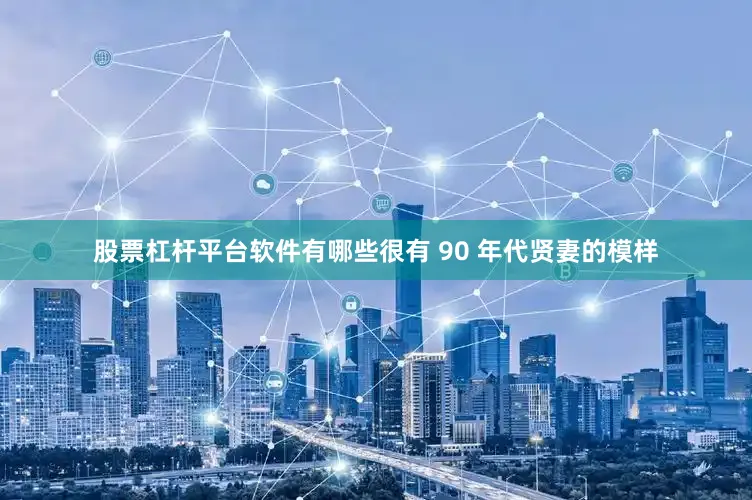 股票杠杆平台软件有哪些很有 90 年代贤妻的模样