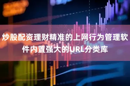 炒股配资理财精准的上网行为管理软件内置强大的URL分类库